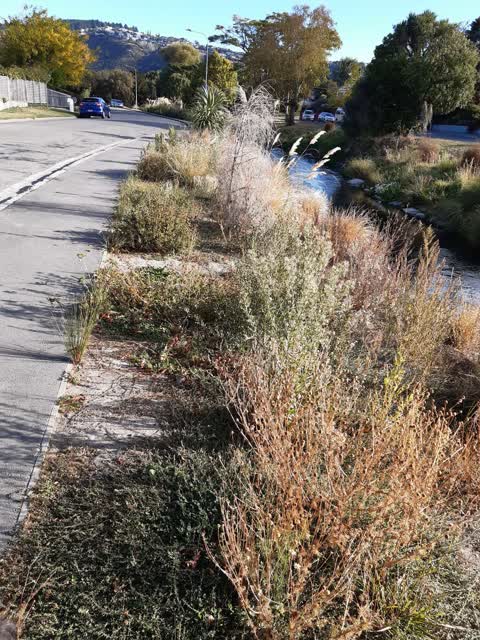 Parks, a report photo