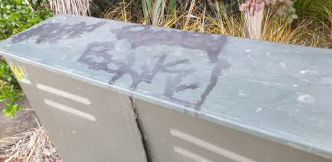 Graffiti, a report photo