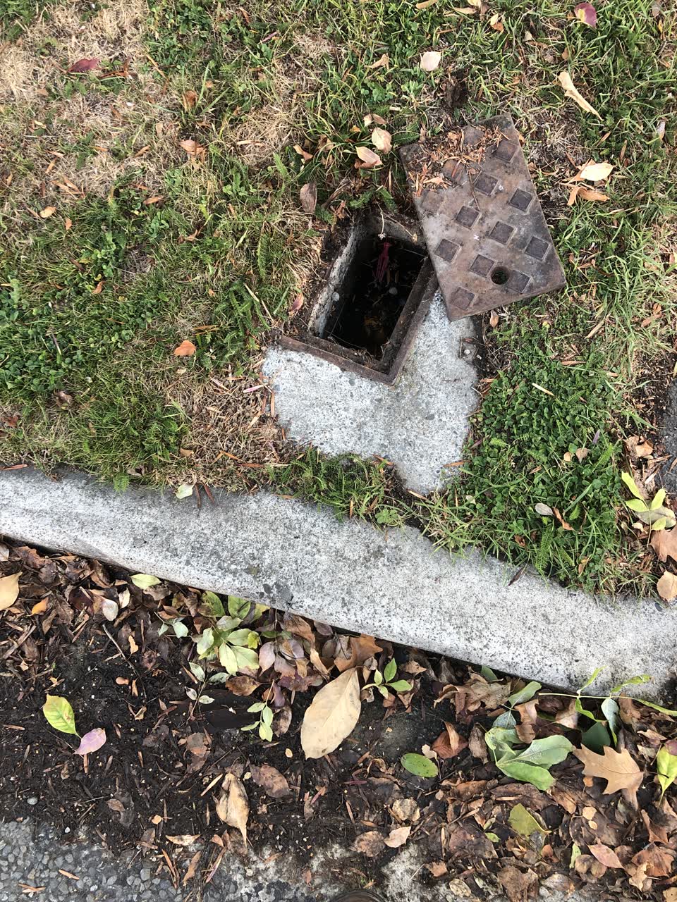The photograph attached to this water leak report