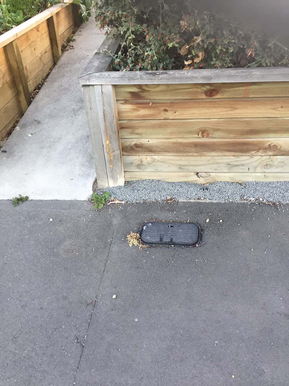 The photograph attached to this water supply report