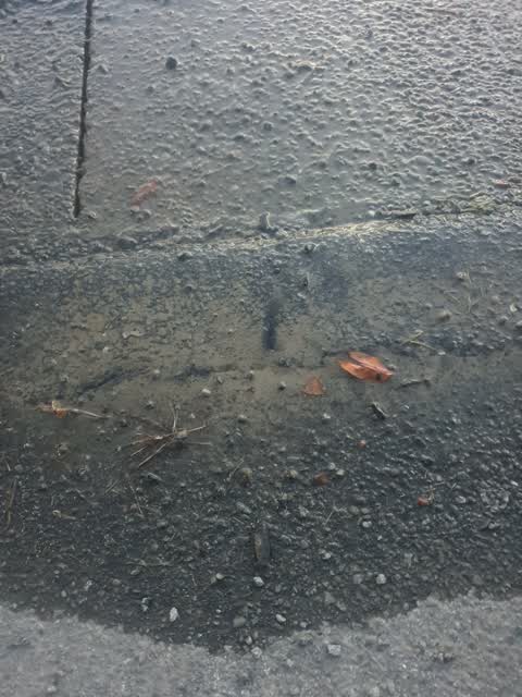 Roading/Streets, a report photo