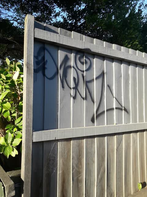 Graffiti, a report photo