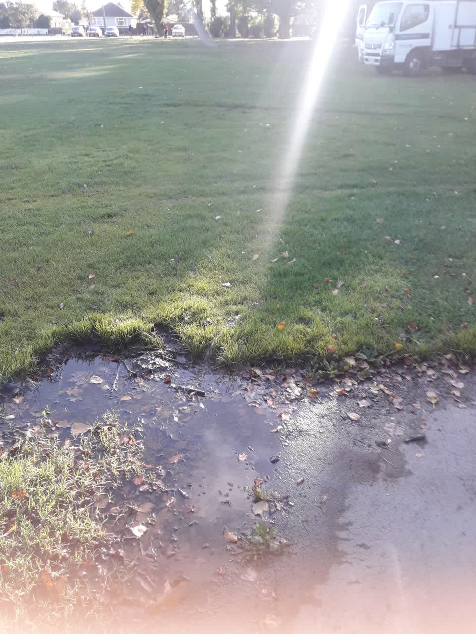 The photograph attached to this parks report