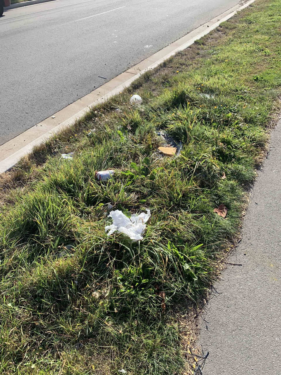 The photograph attached to this rubbish/recycling report