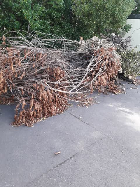 Parks — a report photo