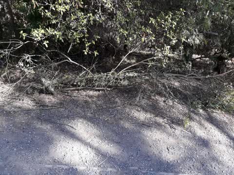 Parks, a report photo
