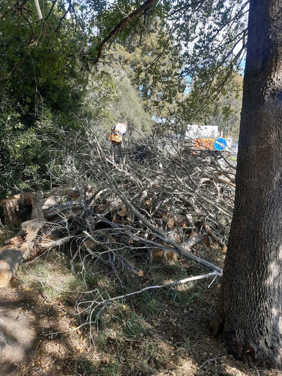 The photograph attached to this parks report