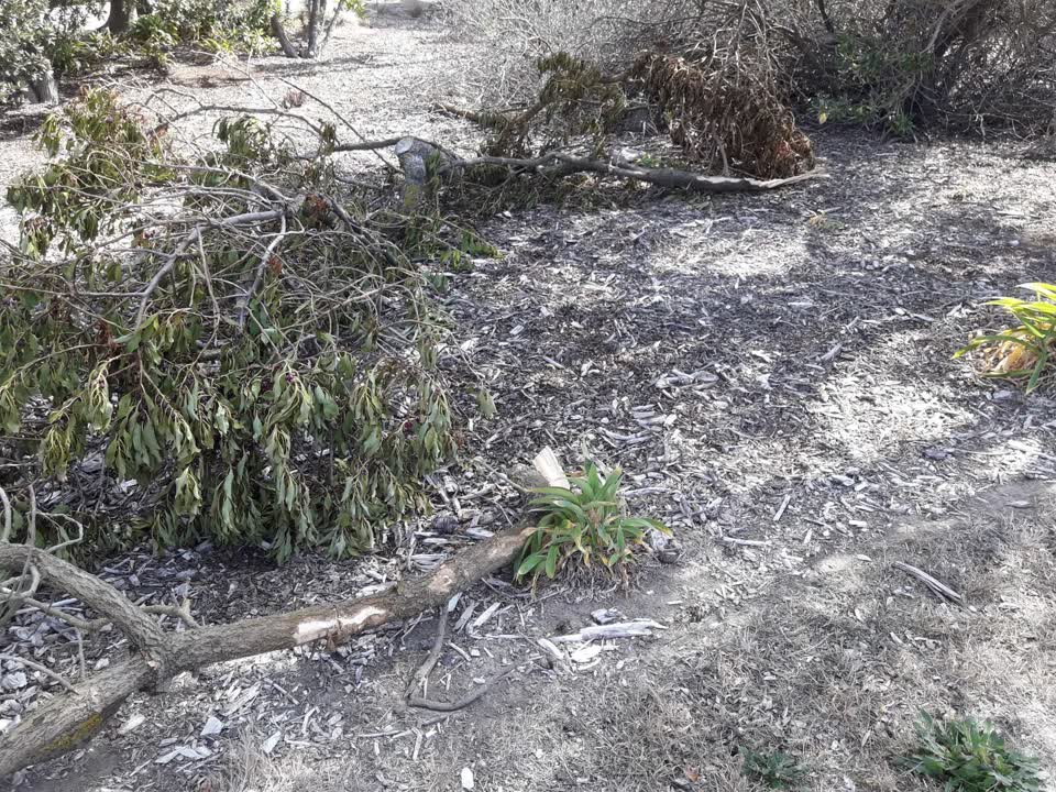 The photograph attached to this parks report