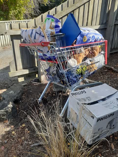 Rubbish/Recycling, a report photo