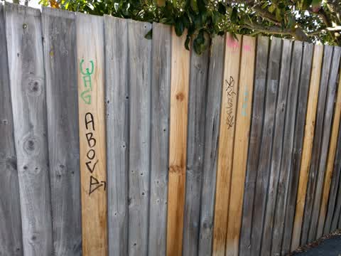 Graffiti, a report photo