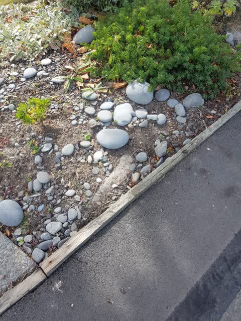 Roading/Streets — a report photo