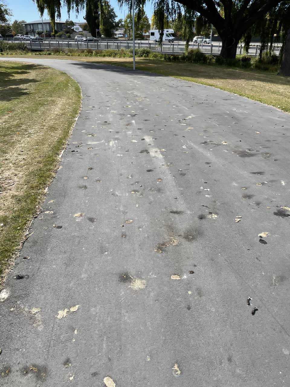 The photograph attached to this parks report