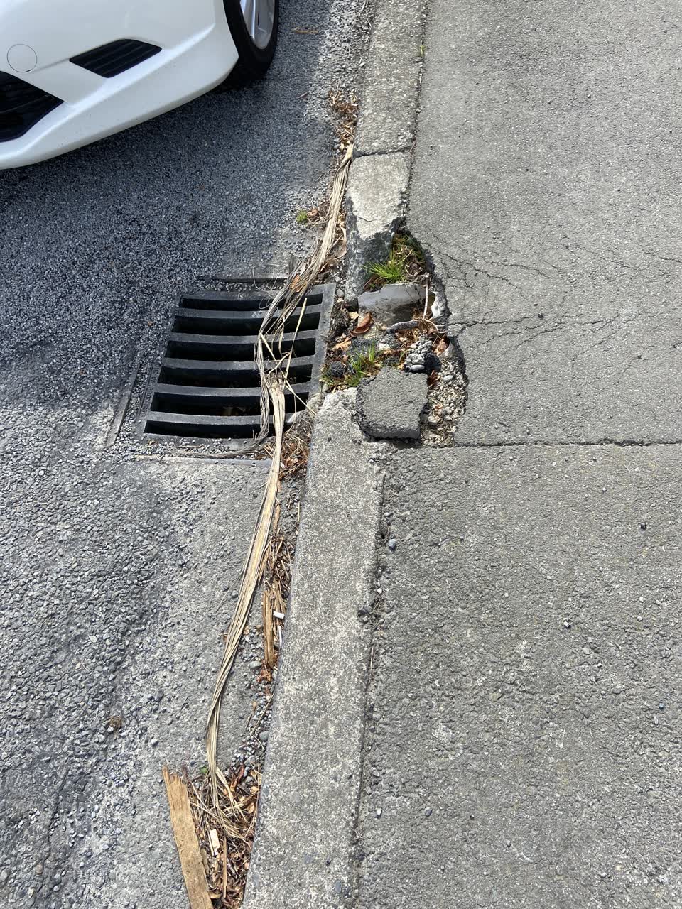 The photograph attached to this roading/streets report