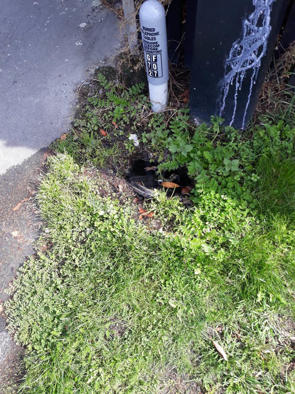 The photograph attached to this water leak report