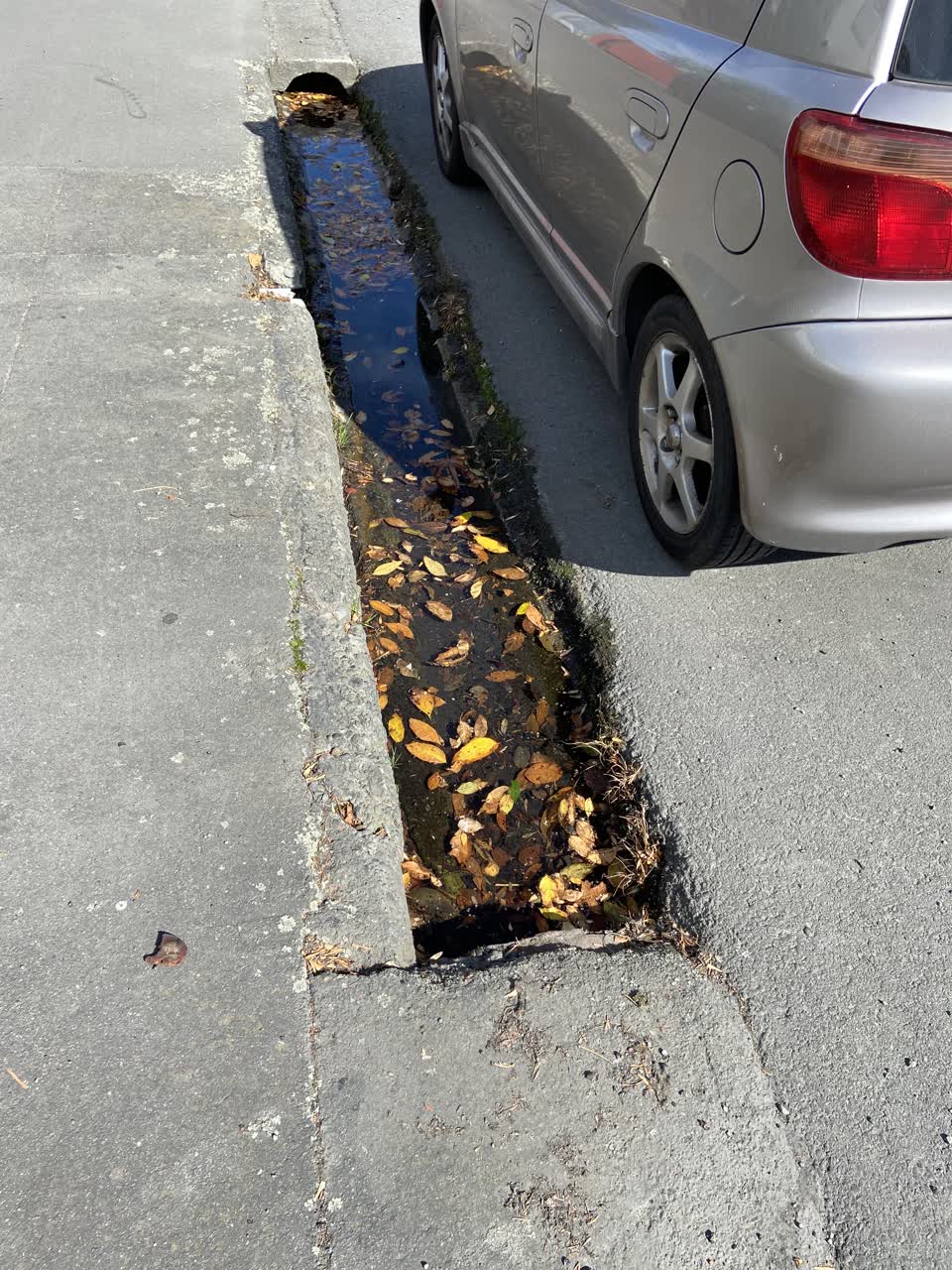 The photograph attached to this water leak report