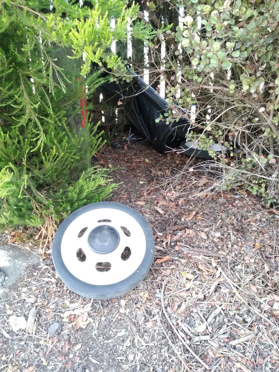 The photograph attached to this parks report