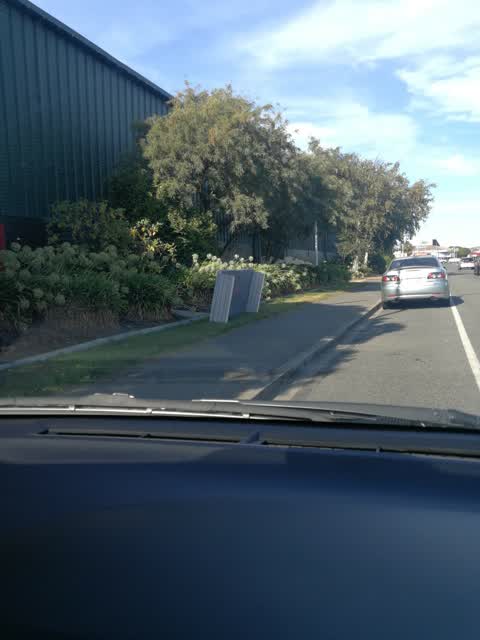 Rubbish/Recycling, a report photo