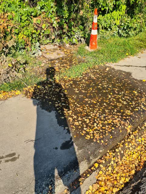 Water Leak, a report photo