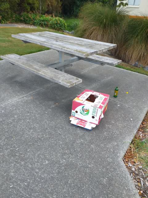 Rubbish/Recycling, a report photo