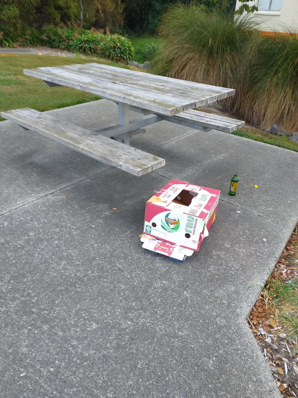 The photograph attached to this rubbish/recycling report