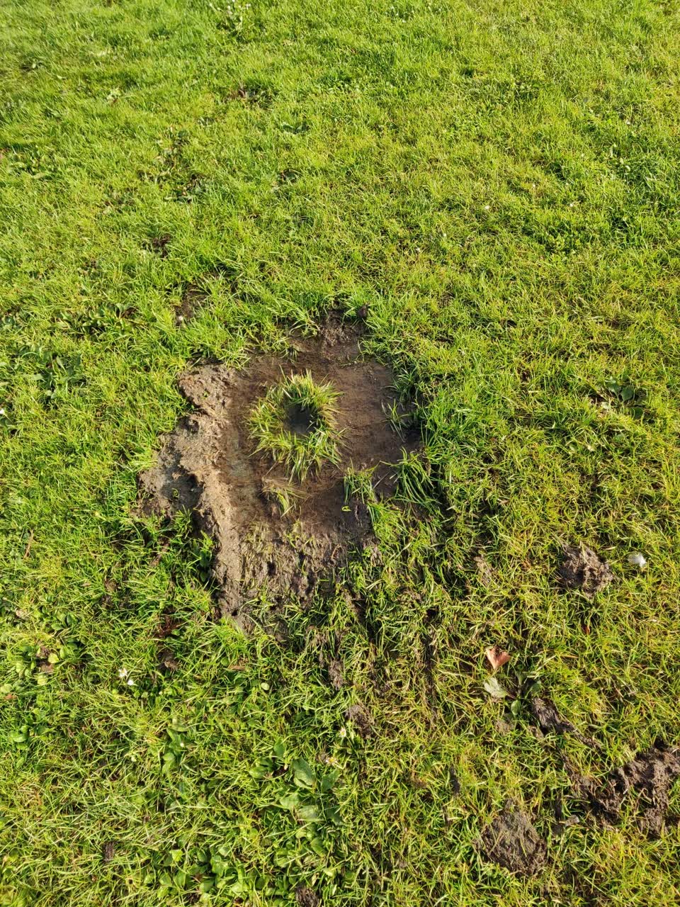 The photograph attached to this parks report
