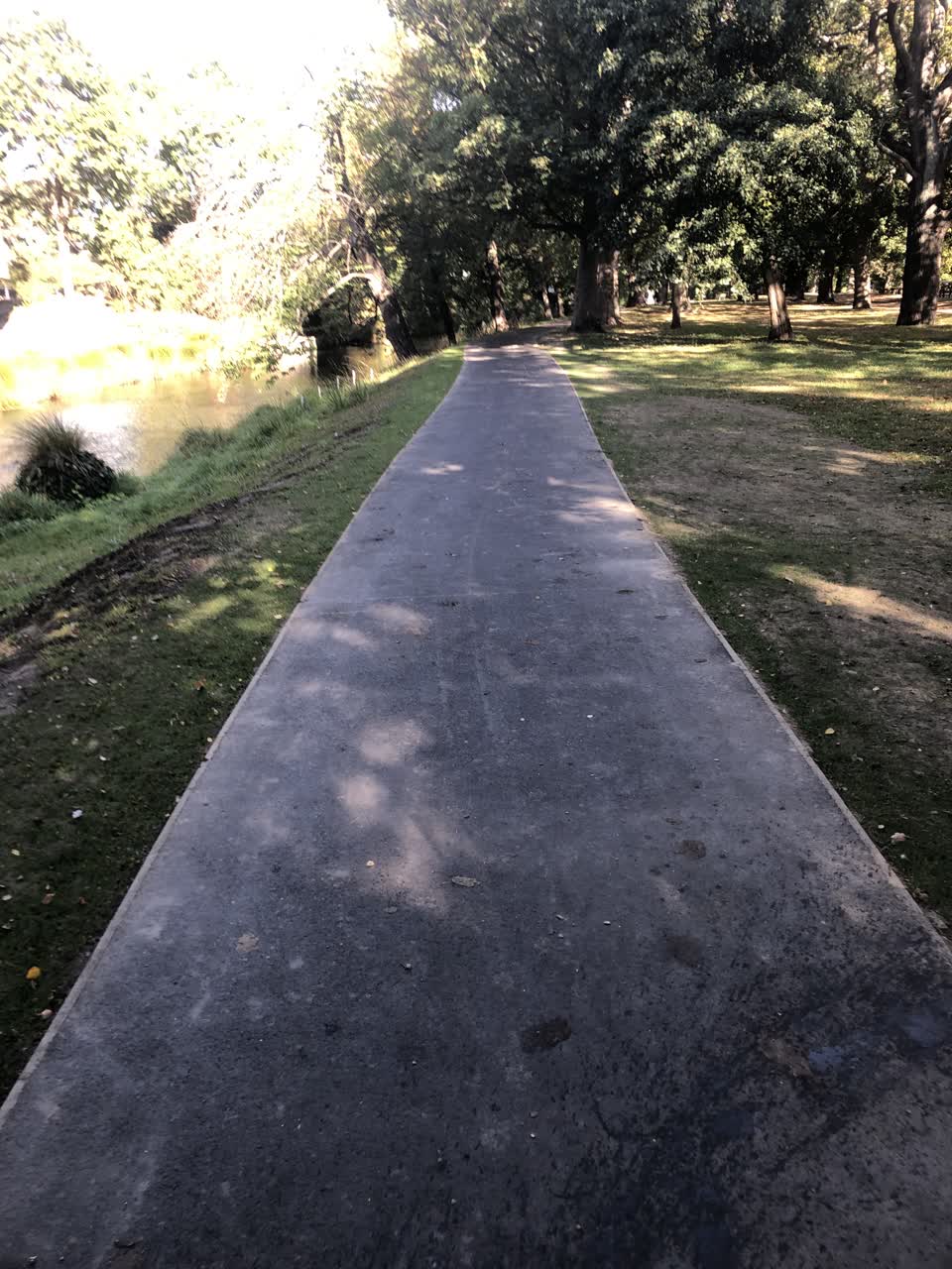 The photograph attached to this parks report