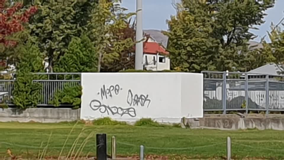 The photograph attached to this graffiti report