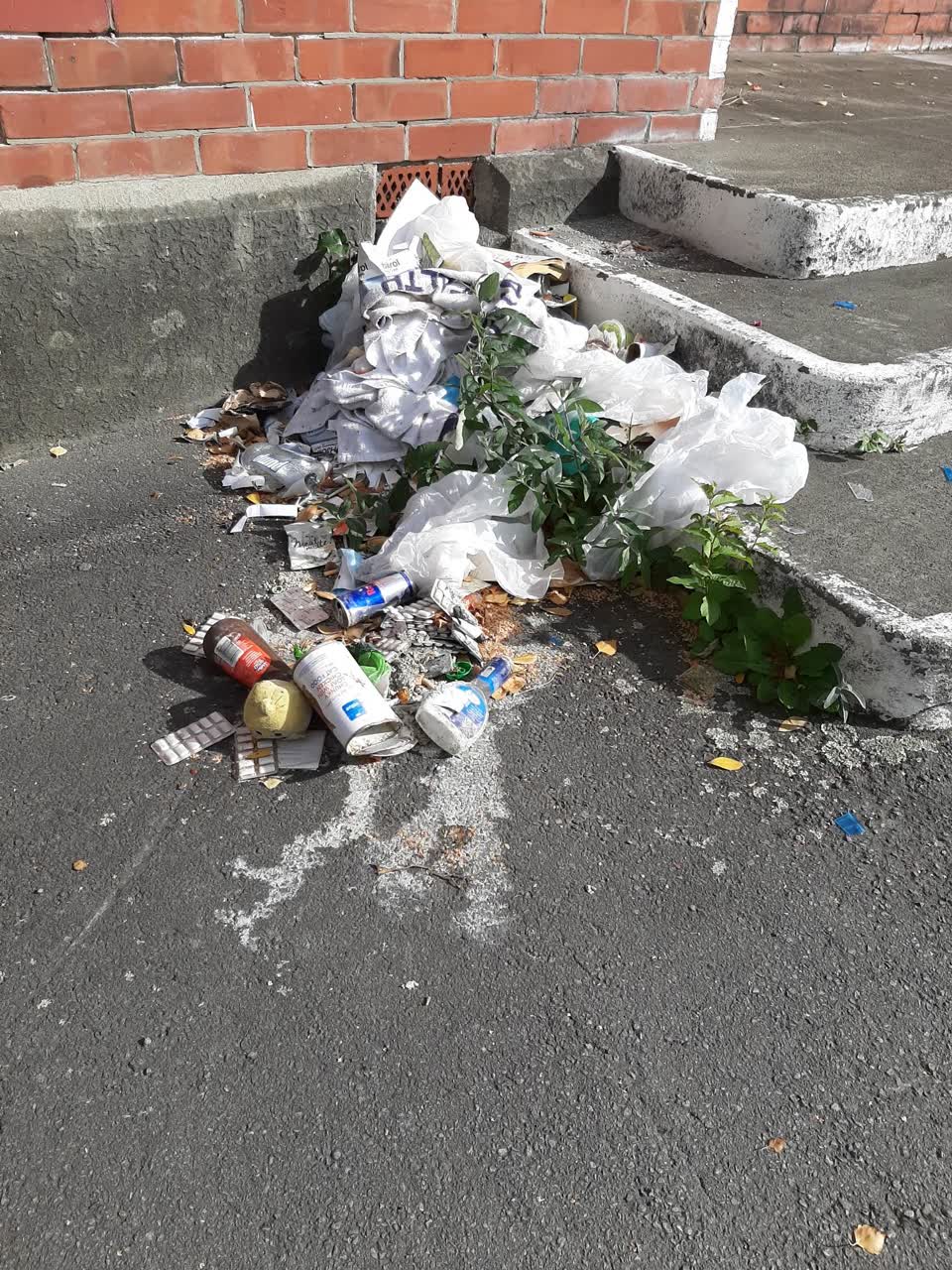 The photograph attached to this rubbish/recycling report