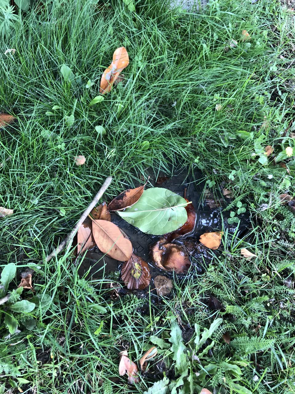 The photograph attached to this water leak report