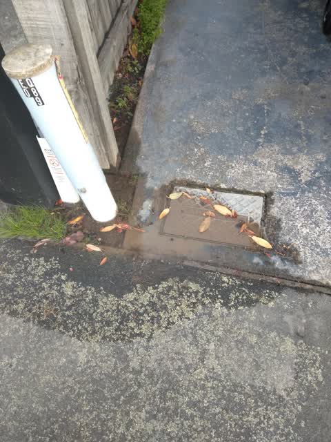 Water Leak, a report photo