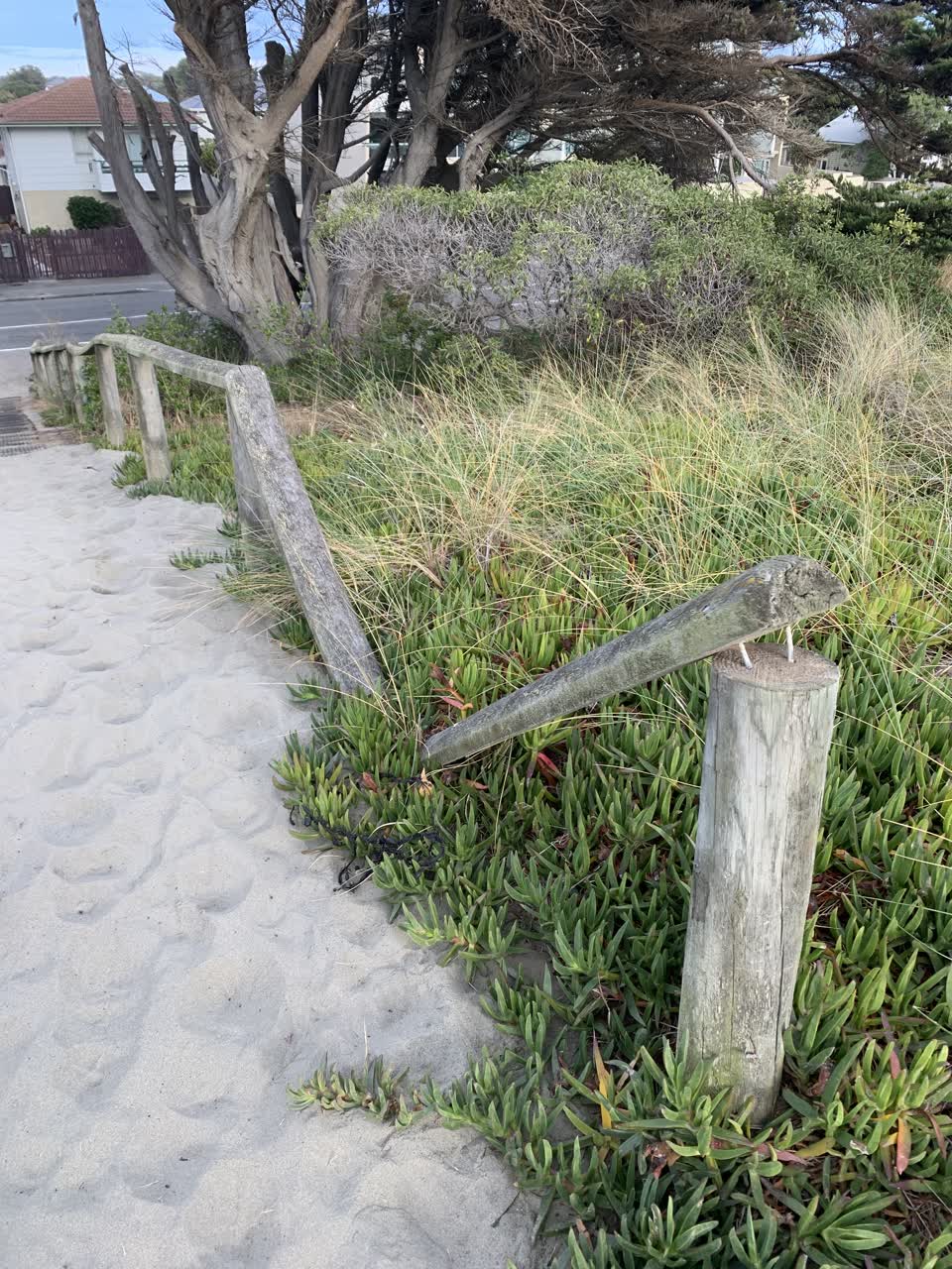 The photograph attached to this parks report