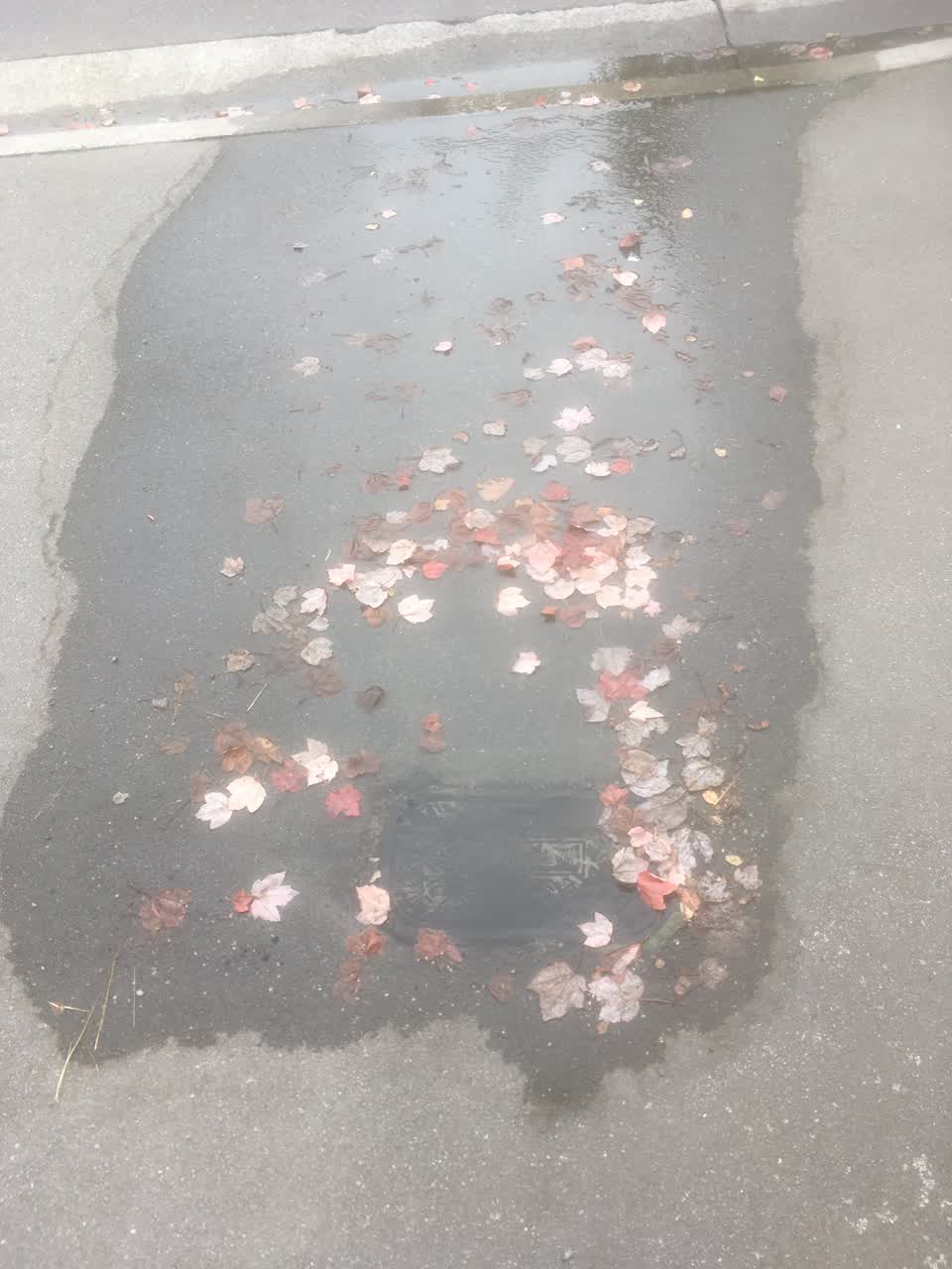The photograph attached to this wastewater/stormwater report