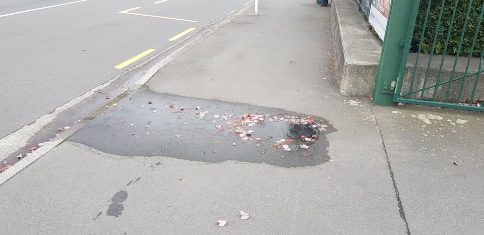The photograph attached to this roading/streets report