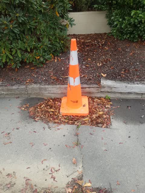 Roading/Streets, a report photo