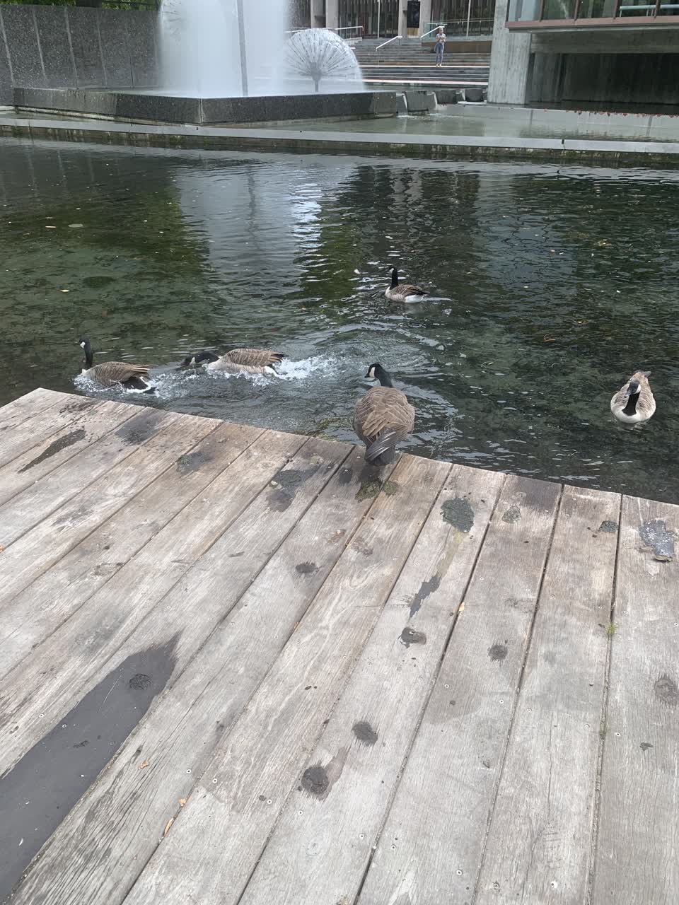The photograph attached to this parks report