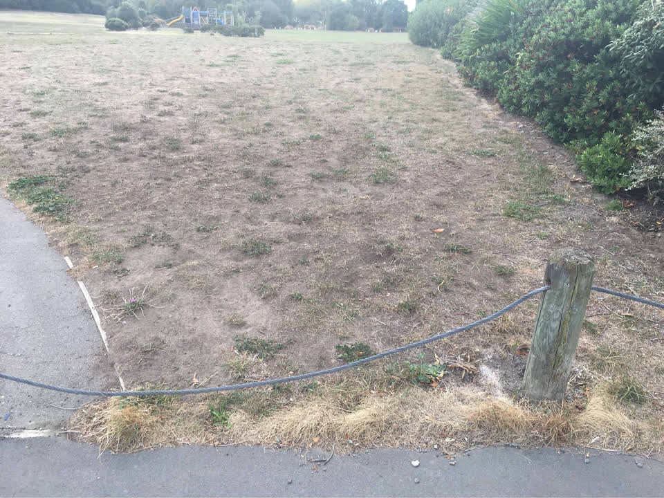 The photograph attached to this parks report
