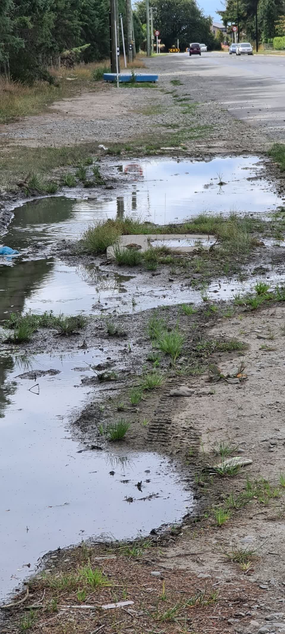 The photograph attached to this sewer - leak / blockage report
