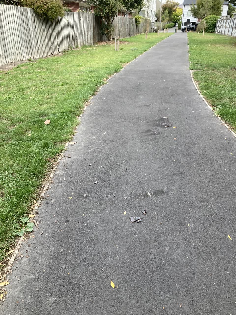 The photograph attached to this parks report