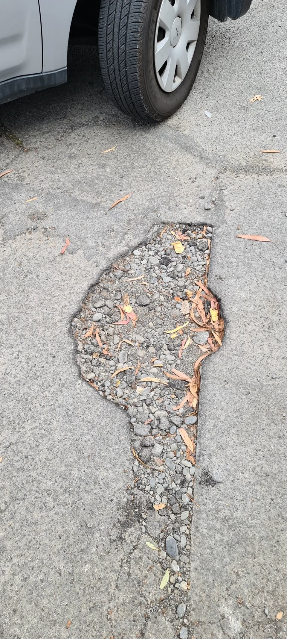 The photograph attached to this parks report