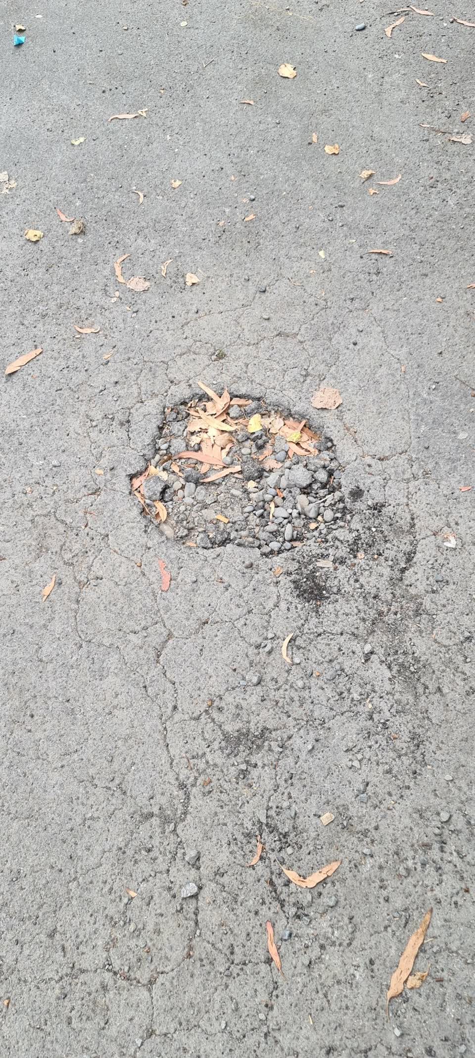 The photograph attached to this parks report