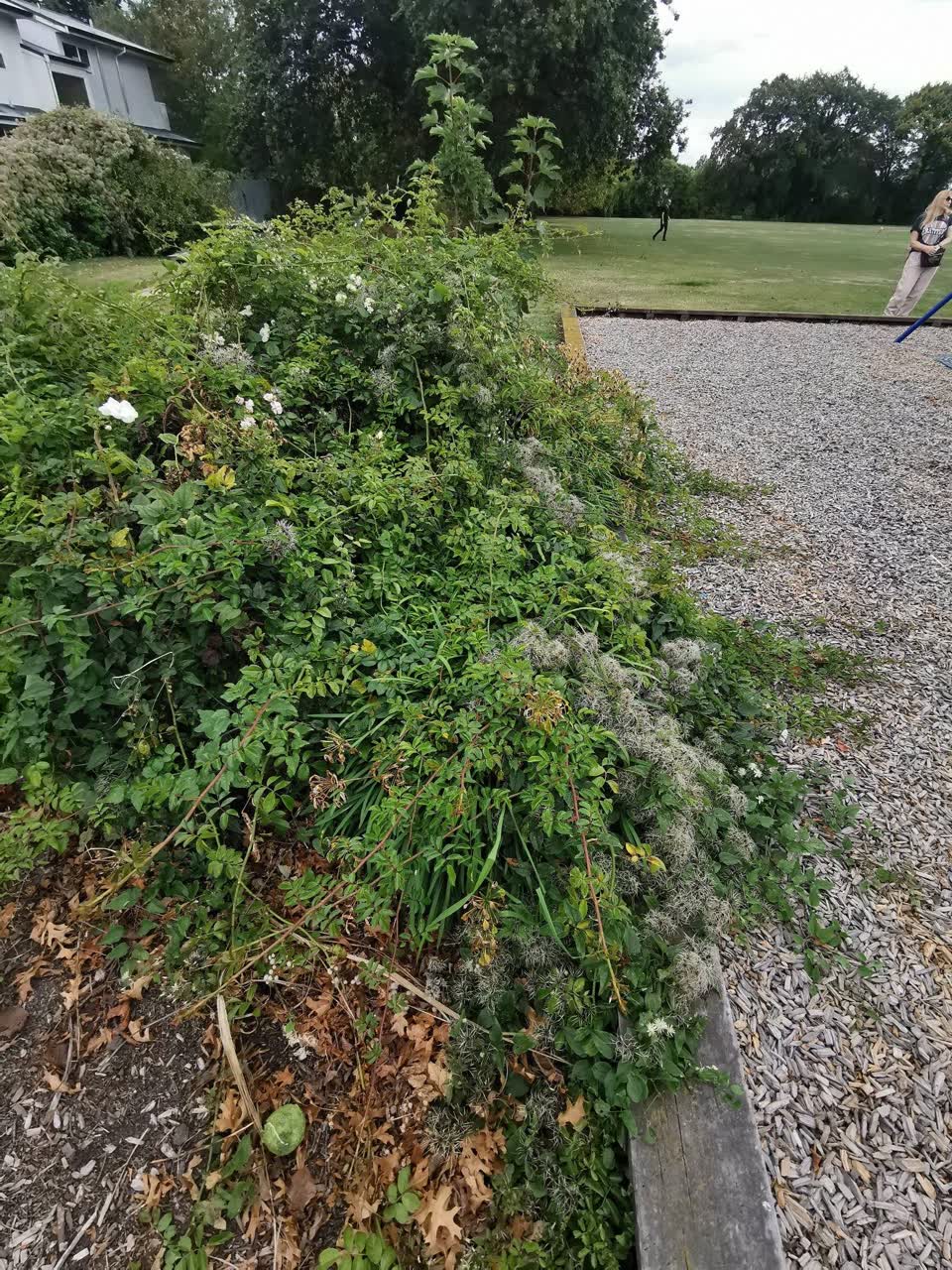 The photograph attached to this parks report