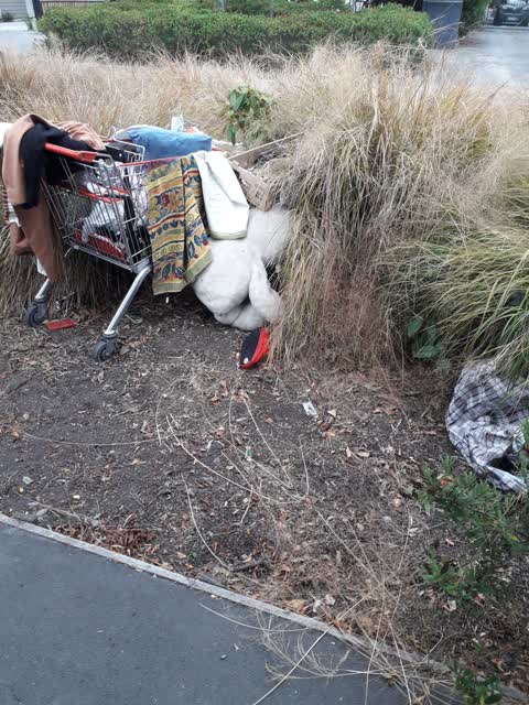 Rubbish/Recycling — a report photo