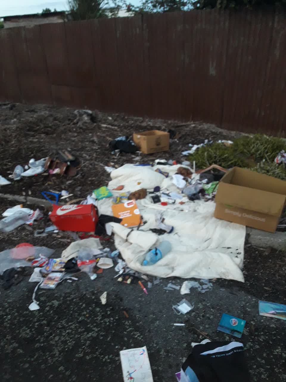 The photograph attached to this parks report