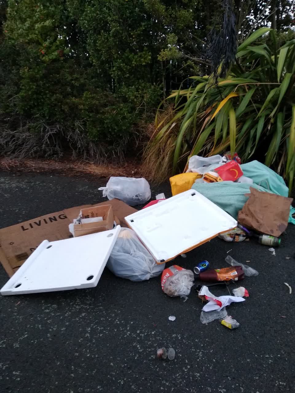 The photograph attached to this parks report