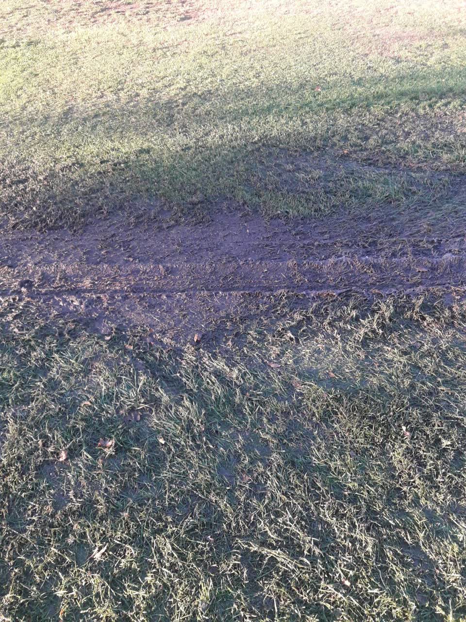 The photograph attached to this parks report