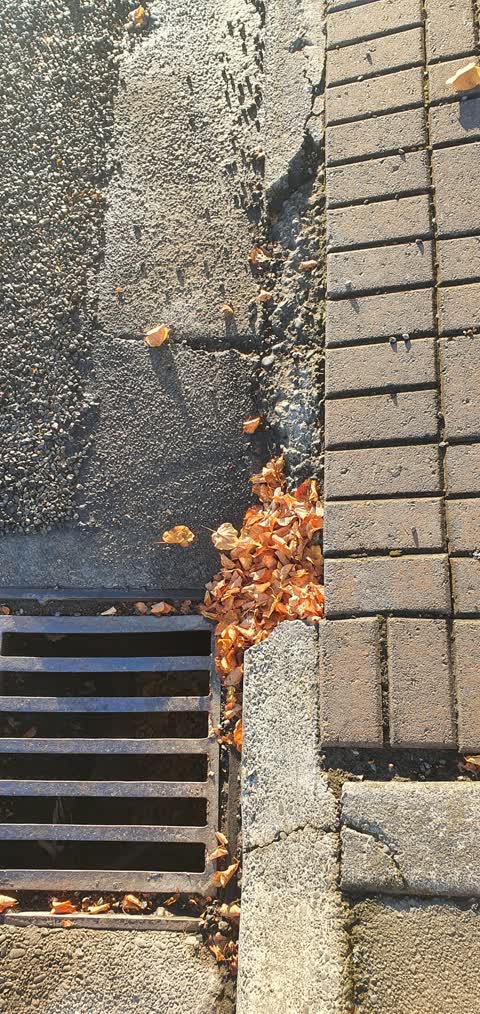 Roading/Streets — a report photo