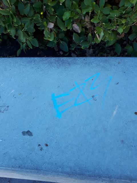 Graffiti, a report photo