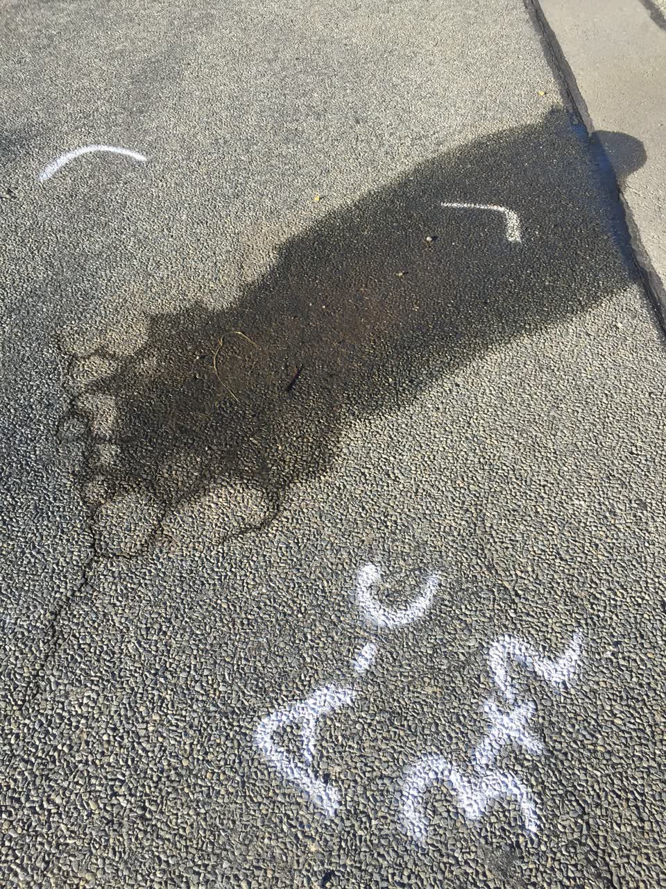 The photograph attached to this water leak report