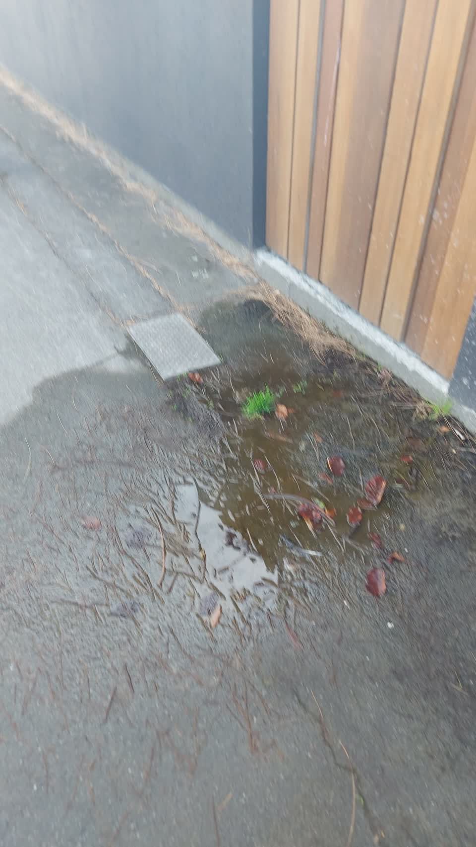 The photograph attached to this water leak report