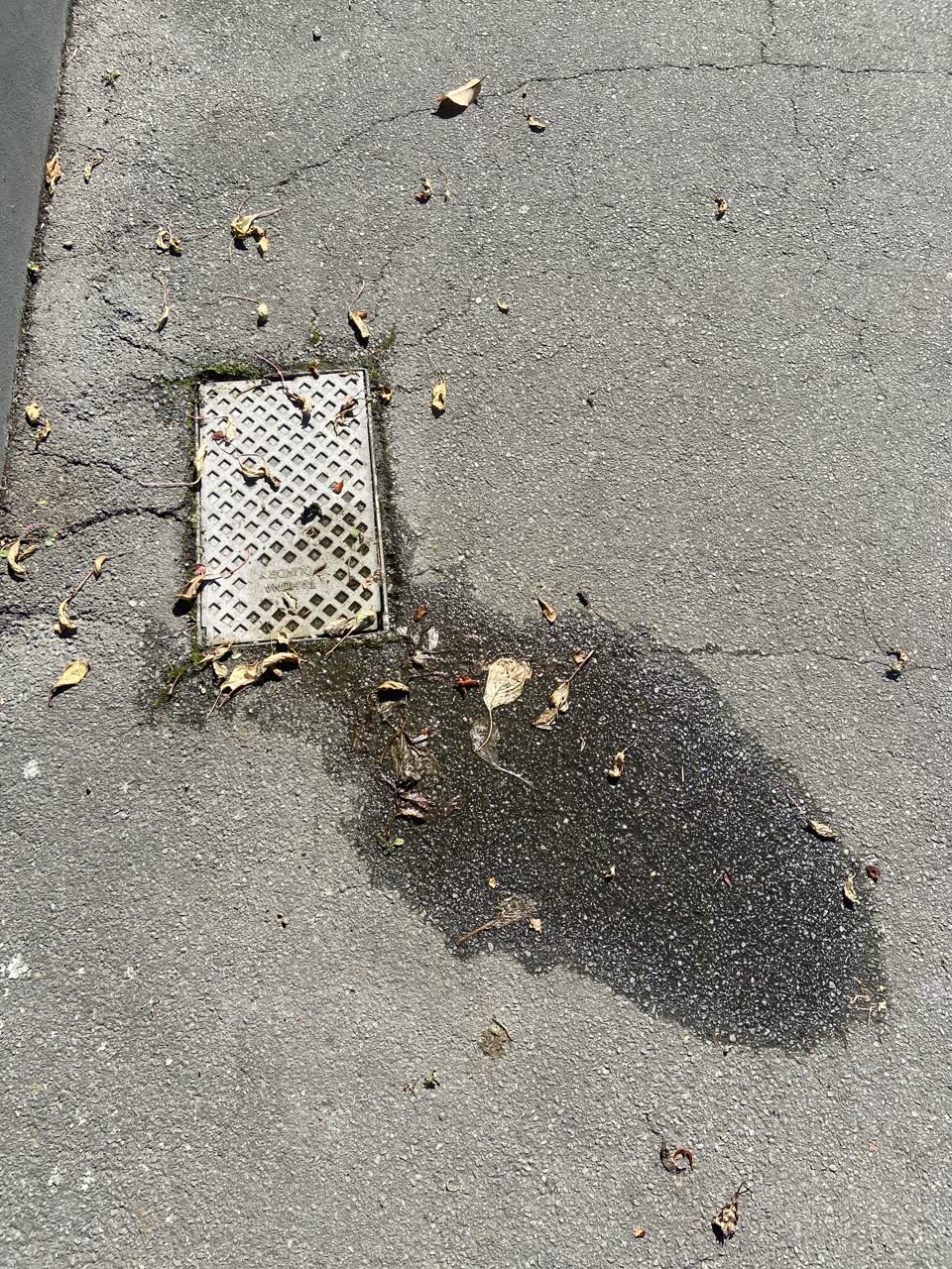 The photograph attached to this water supply report